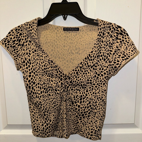 Brandy Melville Tops - Brandy Melville Leopard Print Top V Neck Small